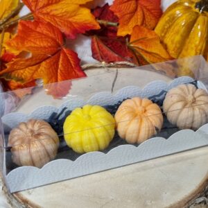 Coffret jardin d’automne